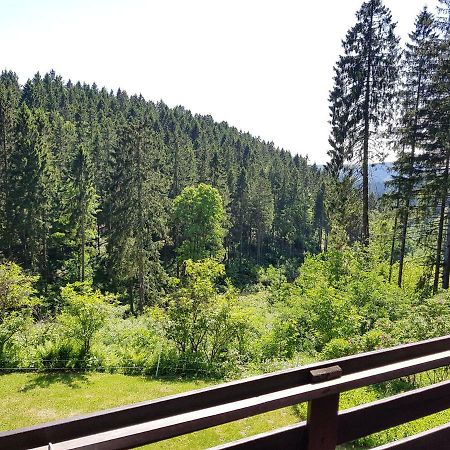 Fewo Waldblick Sankt Andreasberg Exterior foto