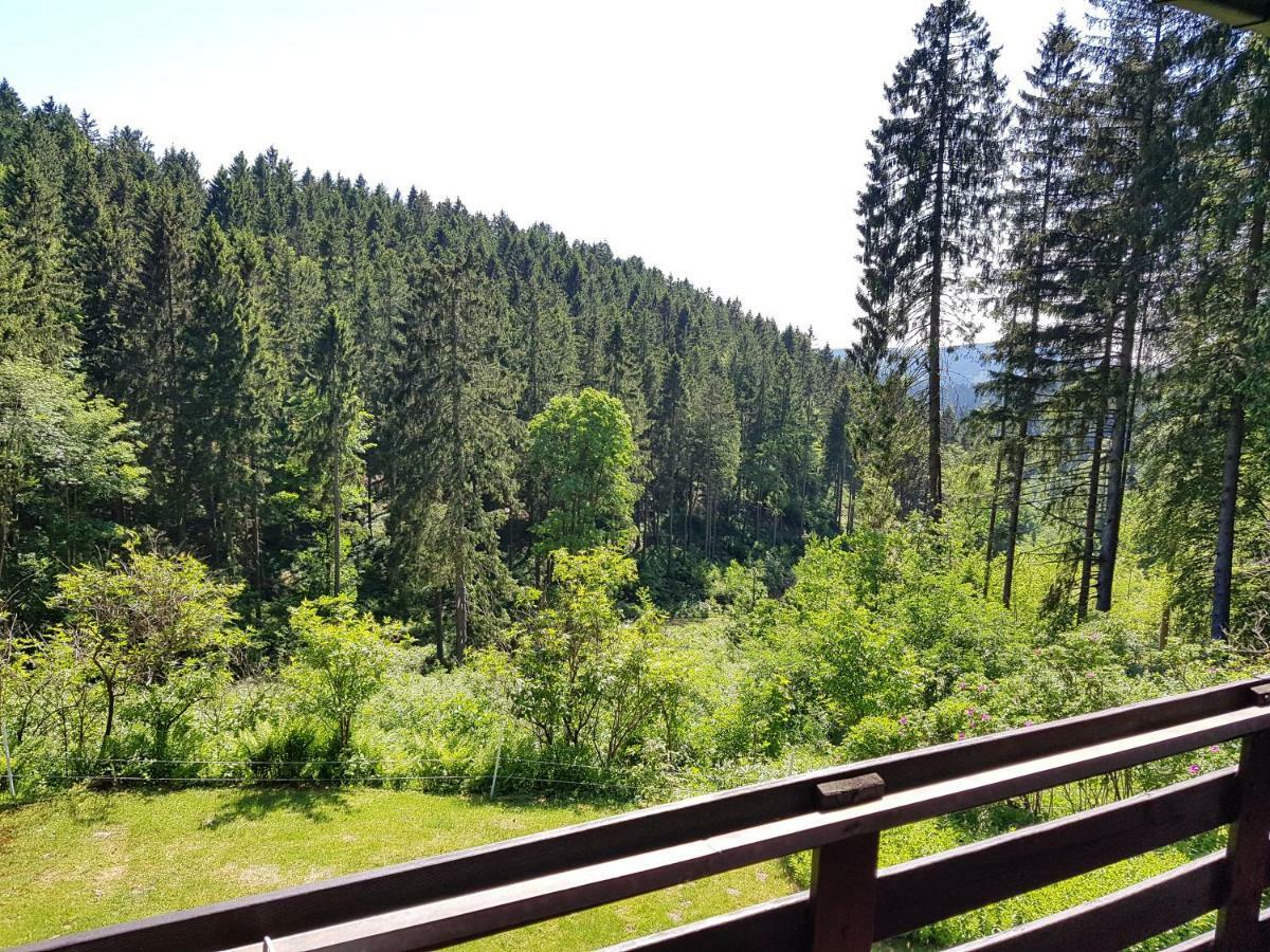 Fewo Waldblick Sankt Andreasberg Exterior foto